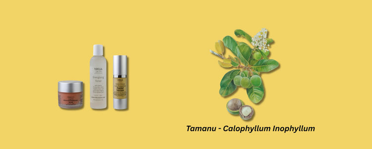 Nikua Skin guarantees a positive difference in skin smoothness, brightness, and overall skin health