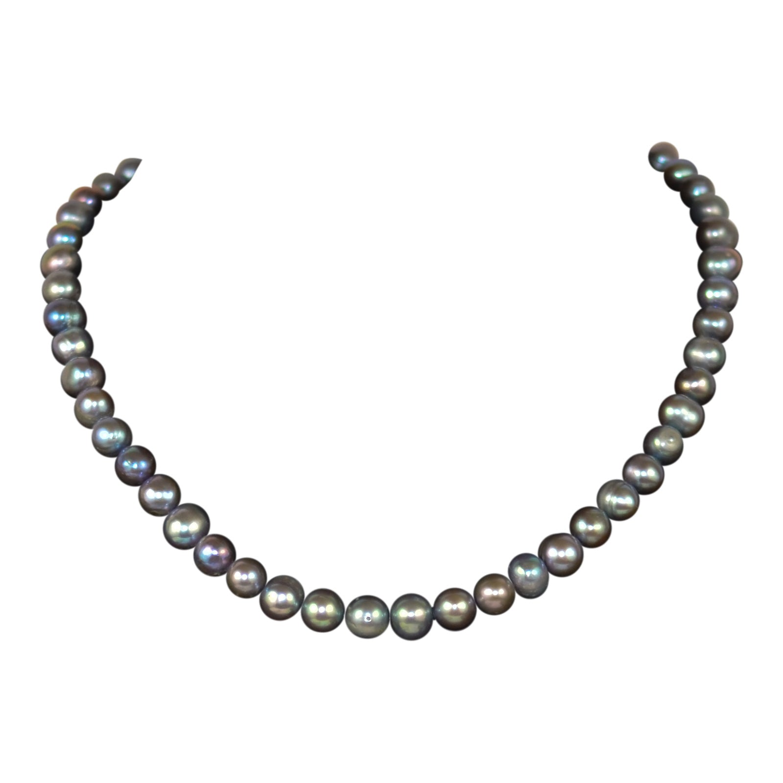 Mahina - Tahitian Silver Pearls